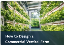 How to Design a Commercial Vertical Farm (Step-by-Step)