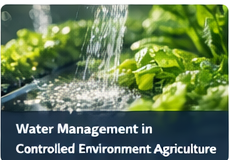 Water Management in Controlled Environment Agriculture